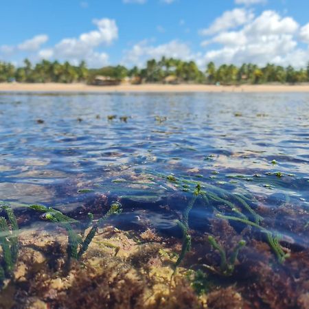 Laus Bangalos Experience - Piscina Privativa - Praia De Algodoes - Peninsula De Marau - Bahia Praia dos Algodoes Luaran gambar